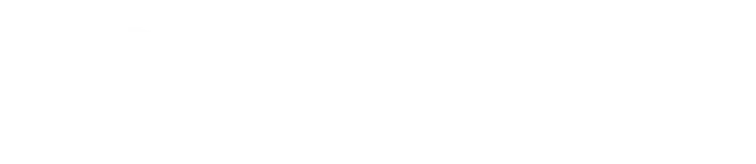 Logo tecnoidn white